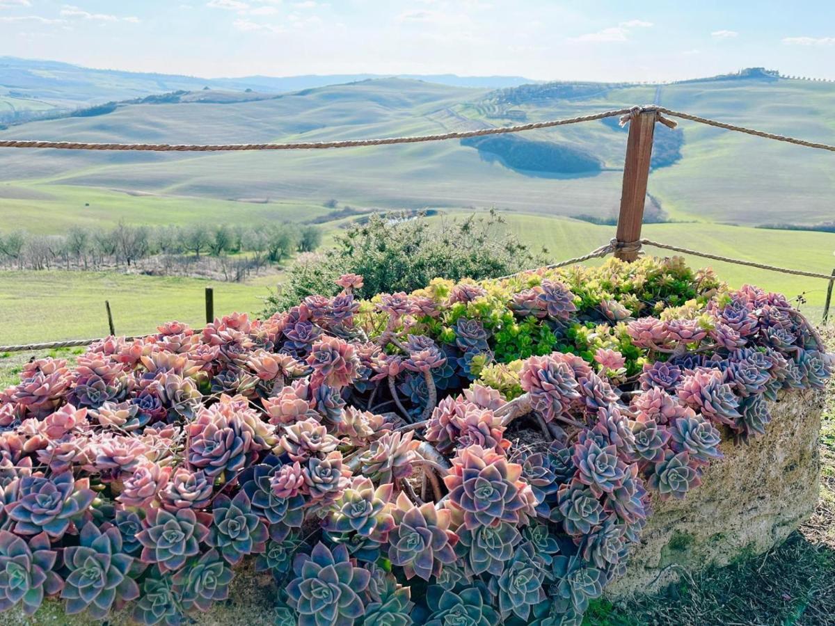 Poggiosalto In Toscana Pienza Bagian luar foto